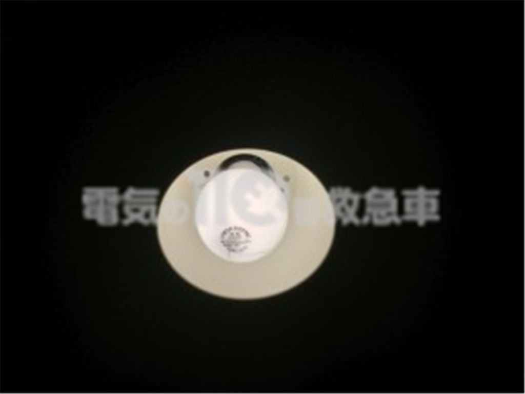 浴室のダウンライト(電球型蛍光ランプ)イメージ